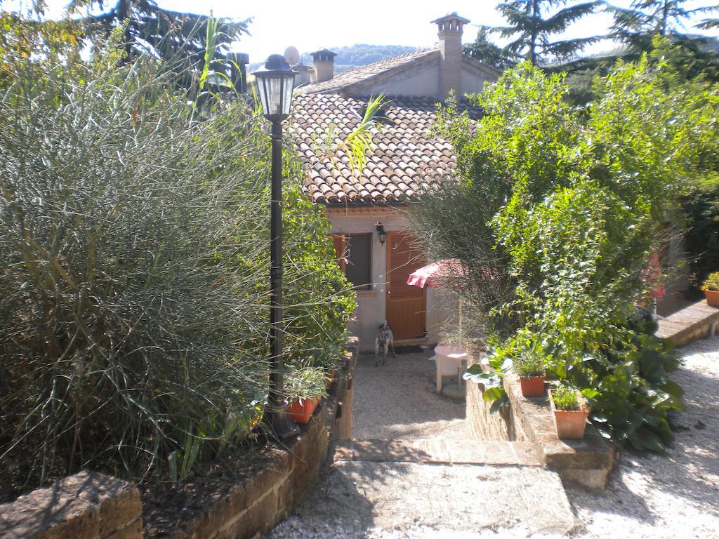 Agriturismo Le Vergare Offagna Exterior photo
