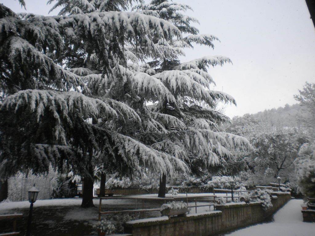 Agriturismo Le Vergare Offagna Exterior photo